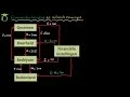 Economische kringloop - (economie uitleg)