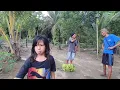Lagu Bersama keluarga panen hasil kebun rompok jenguk pakde bukde sebelum pulang kedesa ibu