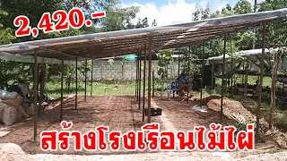 สร้างโรงเรือนไม้ไผ่ ด้วยงบฯ 2420.- Easy Bambco Greenhouse Building for Cactus