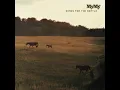Clean Break