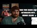 Color Grading with Memory Colors Make Your Footage Look Natural Instantly Psychology of Color