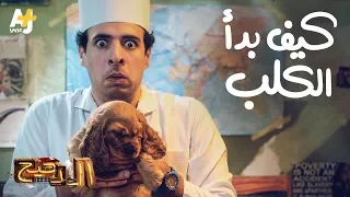 الدحيح كيف بدأ الكلب 