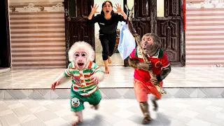 OMG! Monkey Abu Ran Away with Baby Abu… Mom Chased Them in Panic!