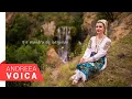 Download Lagu Andreea Voica - Fir mandru de iorgovan