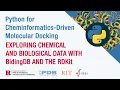 Python for Molecular Docking Exploring Chemical and Biological Data With BidingDB and the RDKit