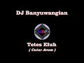 Download Lagu DJ Banyuwangian - Tetes Eluh Catur Arum.