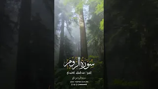 سورة الروم كامله للشيخ عبد السلام العابيدي 
