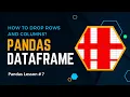 Dropping rows and columns from a pandas DataFrame Pandas DataFrame SuMyPyLab