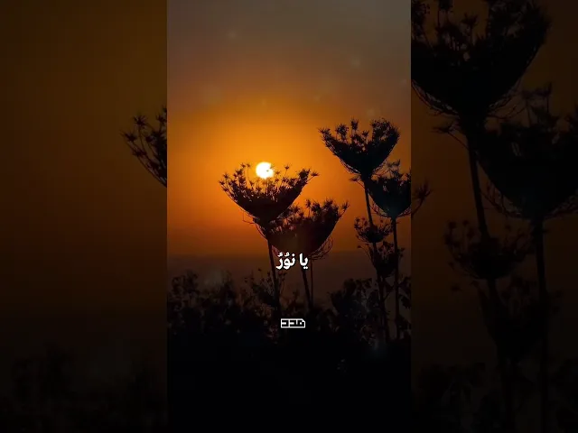 ⁣يا نورُ يا قدوس🤲🏻✨#دعاء_كميل #اللهم #النور#القدوس #دعاء #ليلة_الجمعة