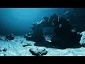 360° VR - TERRIFYING Sea Creatures | Deep Ocean Horror