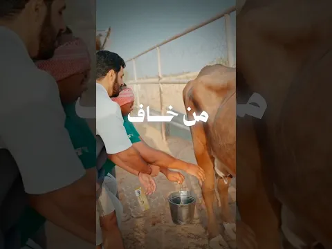 هل الخوف أخطر او الحزن 😰 ؟