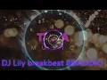 Download Lagu DJ Lily breakbeat 8DAUDIO
