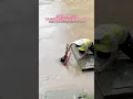 Download Lagu #flood #duet #fishing #flooding #song #rain
