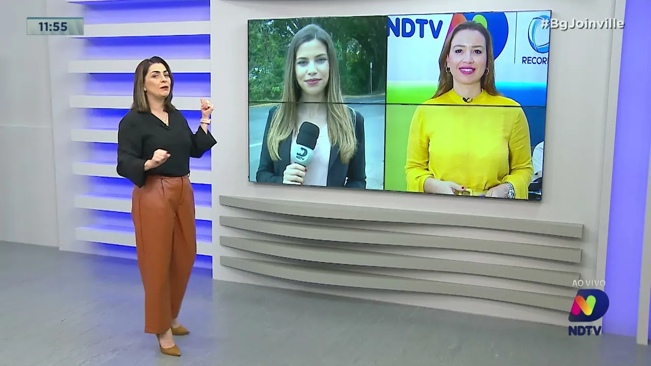 Recorde! Ibama doa madeira nativa da Amazônia apreendida em SC