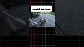 سرعة صقر الشاهين  سرعة مرعبة لصقر الشاهين في الاقتناص          دندنها