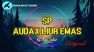 Download 🔴SUARA PANGGIL WALET SP AUDAX LIUR EMAS ORIGINAL‼️ By: Andi Sufar Sinar 77,Suara Walet Sukses Respon MP3