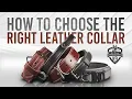 How to Choose a Heavy Leather Dog Collar