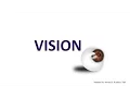 The Visual System