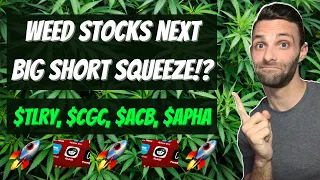 Weed Stocks The Next Big Reddit and WallStreetBets Short Squeeze TLRY CGC ACB APHA
