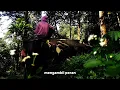 Download Lagu Bertaut - Nadin Amizah ( Cover by : Aqilla Maheswari)