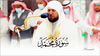 الشيخ د ماهر المعيقلي ينفرد بأداء كردي م حبر لما تيس ر من سـورة محمد عشاء الجمعة ١٤ ٤ ١٤٤٣هـ 