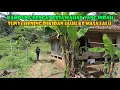 Download Lagu Kampung Terpencil Makin Terpuruk Dengan Akses Jalan Butut.