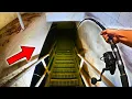 Download Lagu What's Swimming In This Flooded Basement?
