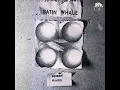 Download Lagu Satin Whale - Desert Places 1974  (Full Album)