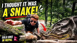 I Went Into Nepal's Forest Alone I Got Scared | Sega Gurung