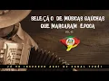 Download Lagu SELEÇÃO DE MÚSICAS GAÚCHAS QUE MARCARAM ÉPOCA V02