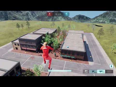 The Video
