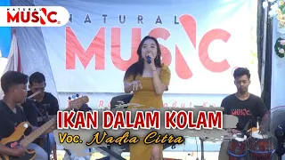 Download Live Natural Music || Ikan Dalam Kolam - Nadia Citra MP3