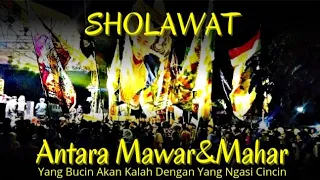 Download Sholawat Antara Mawar 🌹 \u0026 Mahar ⚖️ [Yang Ngasi Mawar Akan Kalah Dengan Yang Ngasi Mahar] MP3