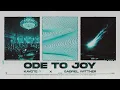 Kayote x Gabriel Wittner - Ode To Joy