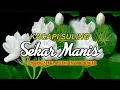 Download Lagu alunan kacapi suling sunda | sekar manis (kulucu malati..)