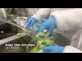 Making salads and burritos in the Kwik Trip kitchen