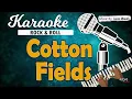 Karaoke COTTON FIELDS - CCR // Music By Lanno Mbauth
