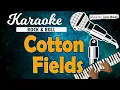 Lagu Karaoke COTTON FIELDS - CCR // Music By Lanno Mbauth