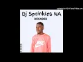 Download Lagu Dj Sprinkle NA - \