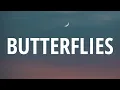 Download Lagu Tom Odell \u0026 AURORA - Butterflies (Lyrics)