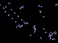 Brian s Brain in Pygame