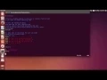 Bash Shell Scripting Functions and Loops