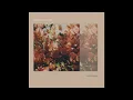 Chihei Hatakeyama - Late Spring (2021)