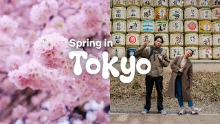 4 Days in Tokyo - Cherry Blossom in Japan (Spring)
