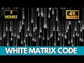 The Matrix White Binary Falling Rain Code Screensaver 2 Hours Screensaver Live Wallpaper 4K
