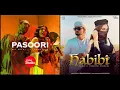 Download Lagu Pasoori x Habibi (Mashup) Lyrics._.feel || Ali Sethi x @Shae Gill || Coke Studio