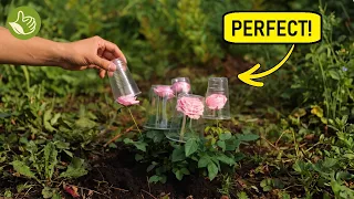 Genius Garden Hacks: We Love Plants! We Love Gardens! We Love Flowers! 🌷