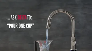 Delta VoiceIQ Technology - Stop Motion
