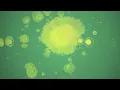 O'Flynn - 'Vesta' (Official Visualizer)