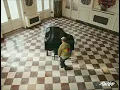 Arya ft. A$AP Rocky Official Music Video Trailer
